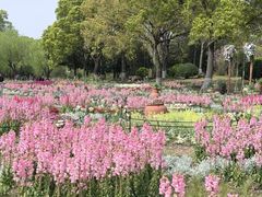 -上海鲜花港