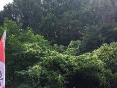 -陶祖圣境风景区