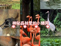 -武汉动物园