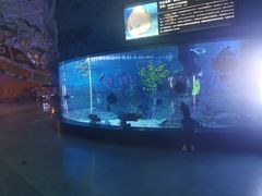 -烟台海昌鲸鲨海洋公园