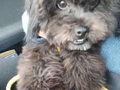 -佳百利宠物(荣乐中路115弄小区店)