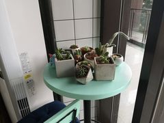 -蜜蜂小象·榴莲千层蛋糕(时代汇11栋店)