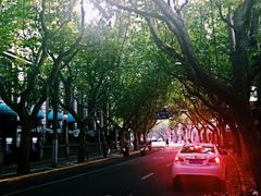 -永兴餐厅(复兴中路店)