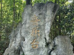 -音乐台