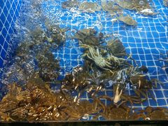 -星伦多自助料理·涮烤一体(虹悦城店)
