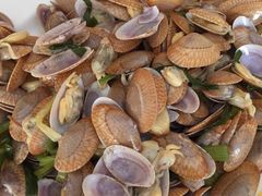 picture-三亚亚龙湾凯莱仙人掌度假酒店