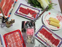 -董记老清泉·鲜切涮羊肉(窑岭店)