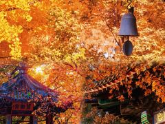 -香山公园