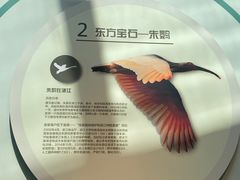 -下渚湖国家湿地公园科普馆