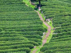 -中国湿地博物馆