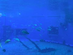 -前王院•巧克力海鲜市集餐厅(万平口店)