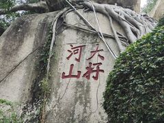 -南普陀素菜馆
