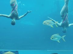 -瑞德姆美人鱼海底演艺主题餐厅(亚龙湾店)