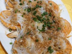 扇贝-老字号蛇口德记烧腊饭店·海鲜加工