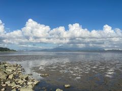 -深圳湾公园(南山区)