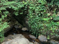 -广州市帽峰山景区