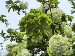 -大龙山(地铁站)