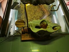 -ventus spa 沙巴亚庇正宗精油按摩会所