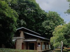 -桃花岭景区