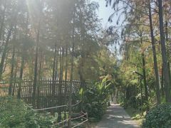 -福道