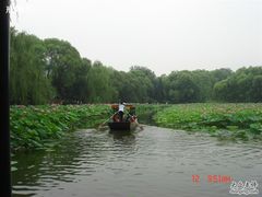 -紫竹院公园冰场