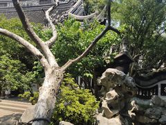 -秋霞圃