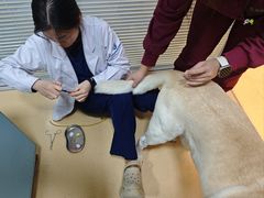 -瑞派·关忠动物医院(国瑞店)