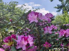 -名花谷生态庄园