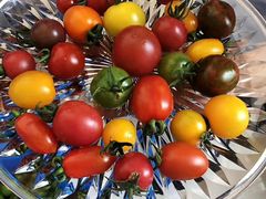 -江杨农产品批发市场