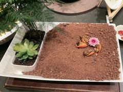 -花锦堂·隐庐