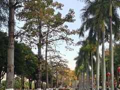 -厦门大学(思明校区)