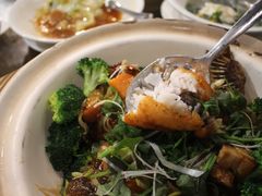 -詠春园