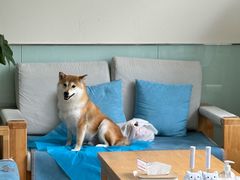 -美迦爱-牙专科·兔科·骨科诊疗中心(北苑店)