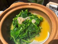 -渔语鱼新川菜Bistro(万象天地店)