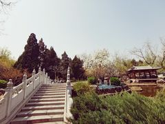 -宣武艺园
