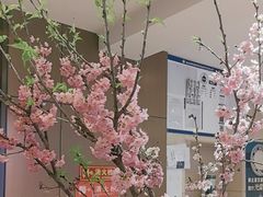 -顺峰(农展馆店)