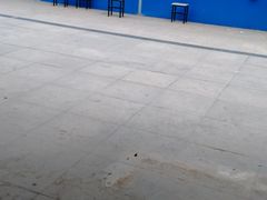 -石家庄市植物园