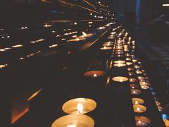 -斯蒂芬主教座堂(Stephansdom)