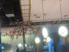 -老板恋上鱼(振华商厦店)