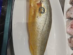 -大连湾旭日·家宴·海肠捞饭(马栏广场店)