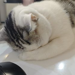-CICI街舞专业培训