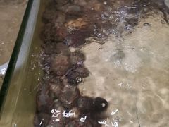 -太古汇海鲜姿造(延寿店)