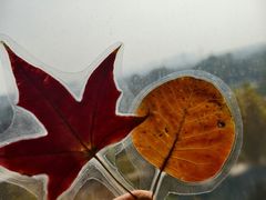 -白水寺森林公园