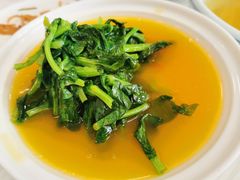 金汤豌豆尖-惠丰堂饭庄·烤鸭·京味菜(翠微路店)