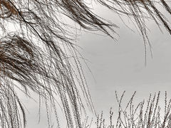 -三里河公园