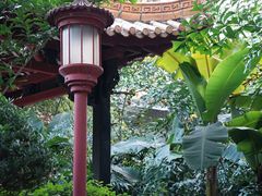 -广州兰圃