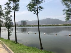 -飞来湖湿地公园