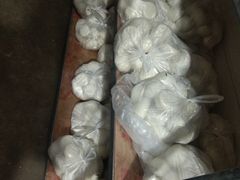 -岳各庄批发市场(西四环中路店)