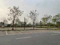 停车场车位-光明小镇欢乐田园