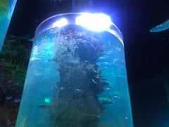 -青岛嘉年华主题乐园